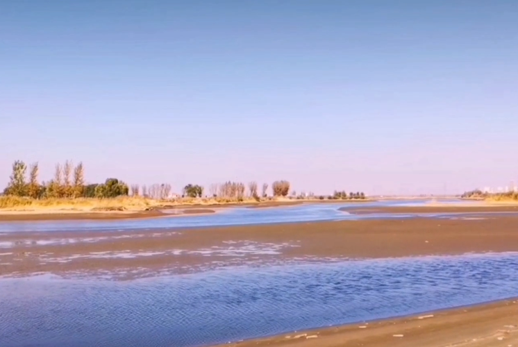 沈阳仙女岛湿地公园游玩攻略3