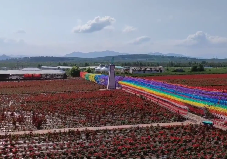 朝阳润泽花海游玩攻略1