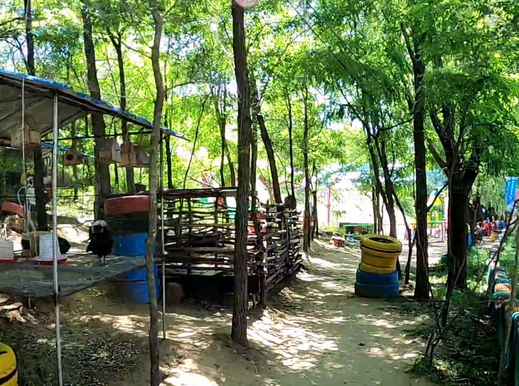 大连欢乐农家院游玩攻略1