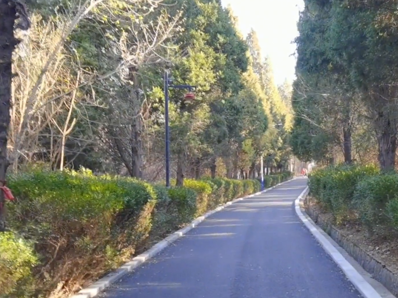 大连普兰店南山公园游玩攻略2