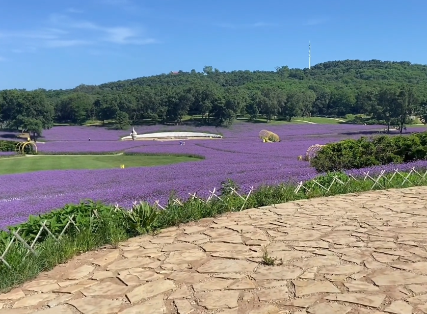 大连心悦岛主体公园游玩攻略1