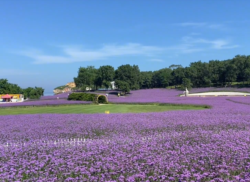 大连心悦岛主体公园游玩攻略2