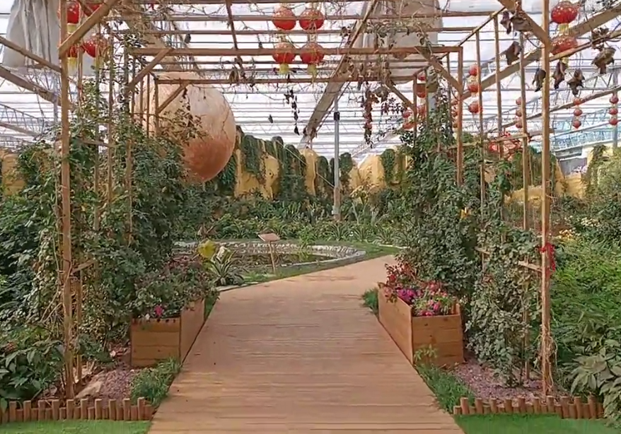 大连百合农场游玩攻略1