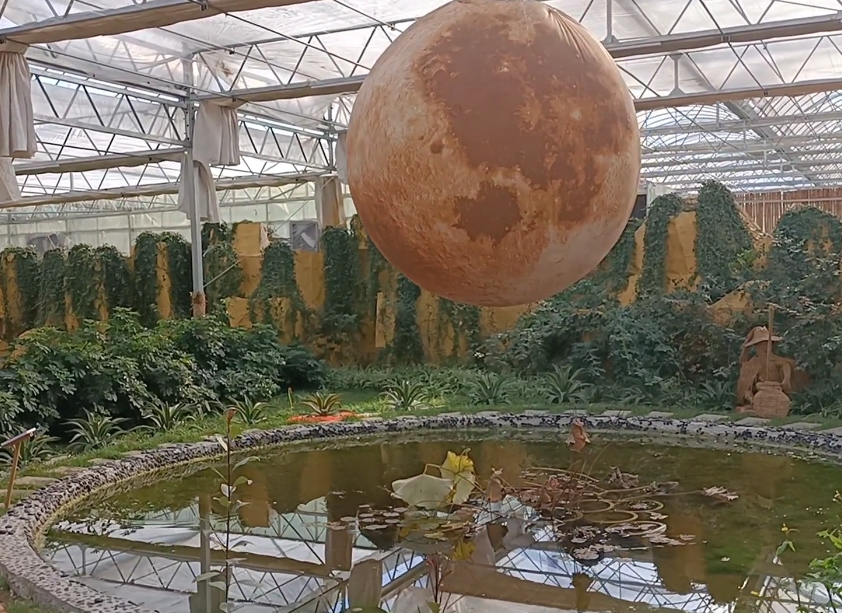 大连百合农场游玩攻略2