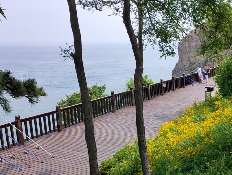 大连滨海路木栈道游玩攻略2
