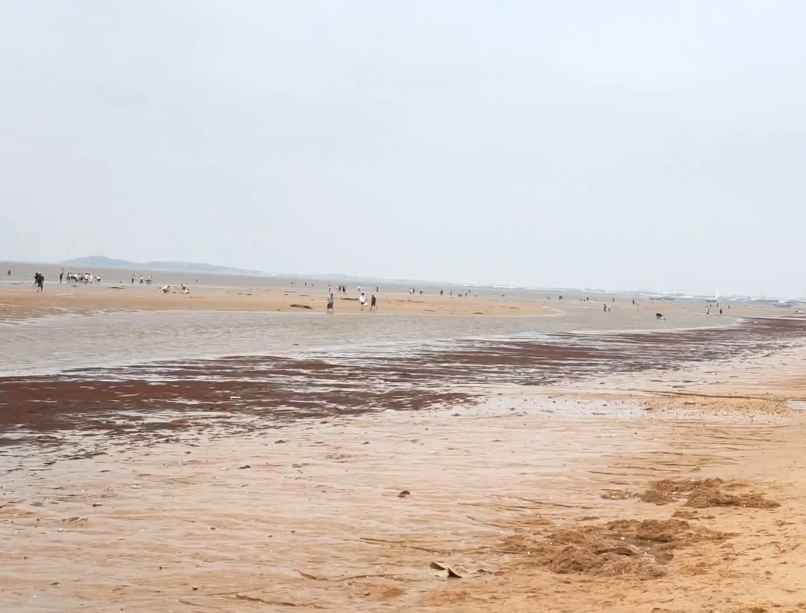 营口白沙湾黄金海岸游玩攻略3