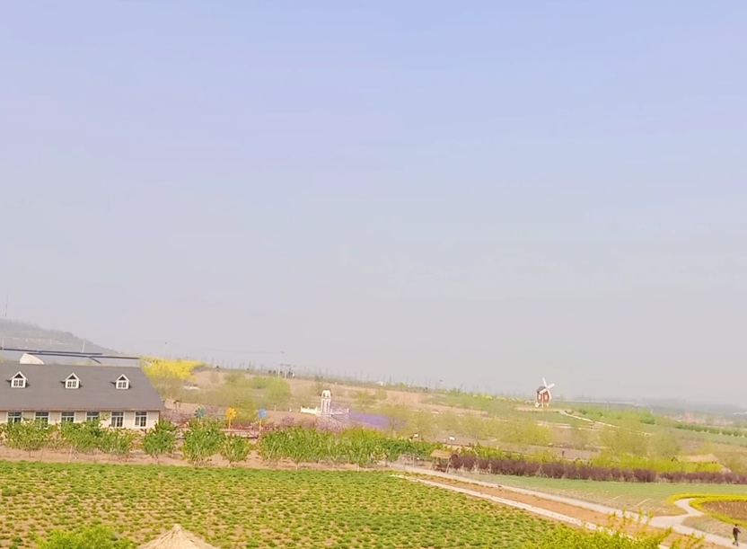 大连紫云花汐薰衣草庄园游玩攻略1