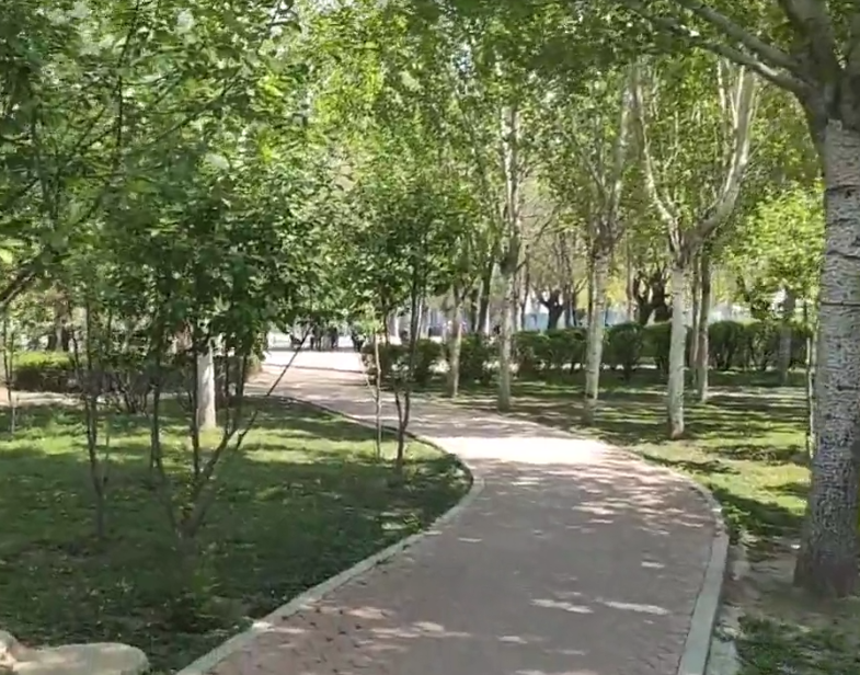 沈阳苏家屯劳动公园游玩攻略2