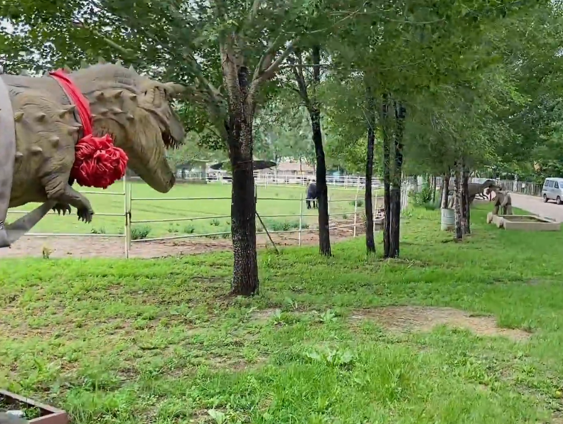 沈阳花果山神秘谷游玩攻略2