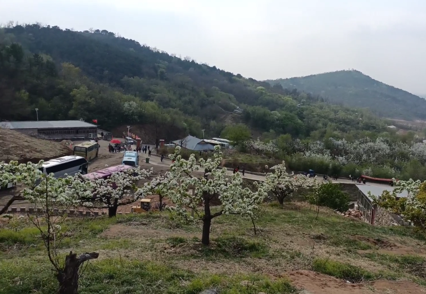 沈阳梨花小镇游玩攻略2