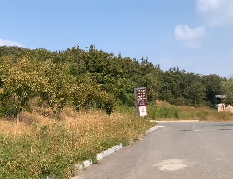 大连鸿野庄园游玩攻略2