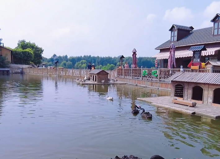 鞍山荷塘月色生态园游玩攻略2