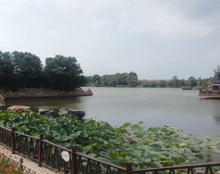 鞍山荷塘月色生态园游玩攻略3