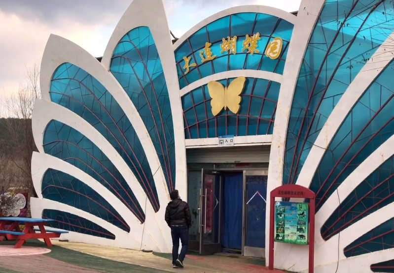 大连蝶恋花蝴蝶园游玩攻略1