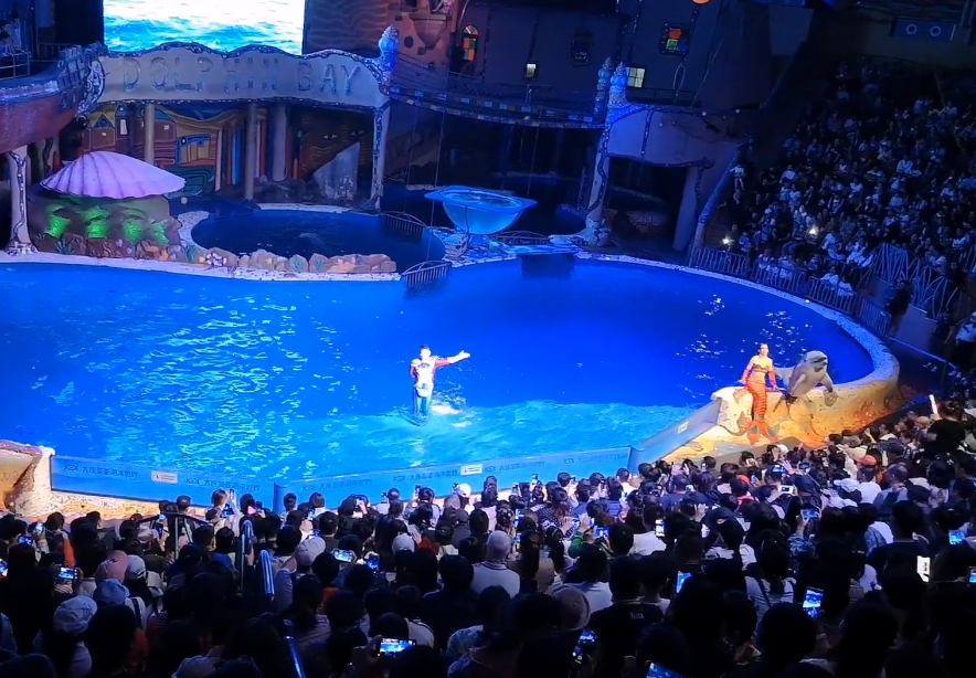 大连圣亚海洋世界游玩攻略1