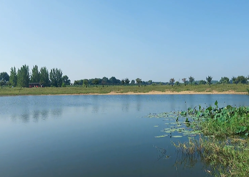 沈阳辽河国家湿地公园游玩攻略1