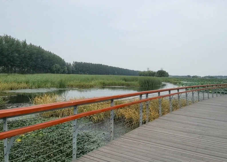 沈阳辽河国家湿地公园游玩攻略2