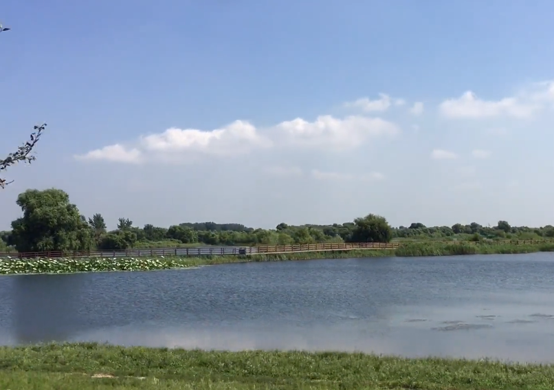 沈阳辽河国家湿地公园游玩攻略3