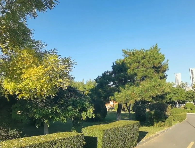 沈阳浑南市民公园游玩攻略1