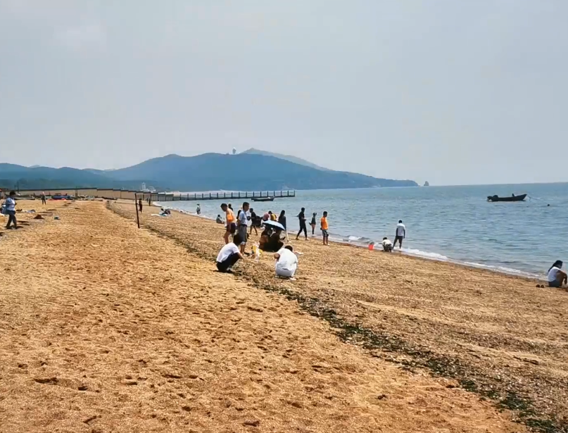 葫芦岛313海滨乐园游玩攻略1