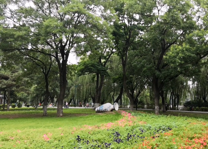 沈阳青年公园游玩攻略1