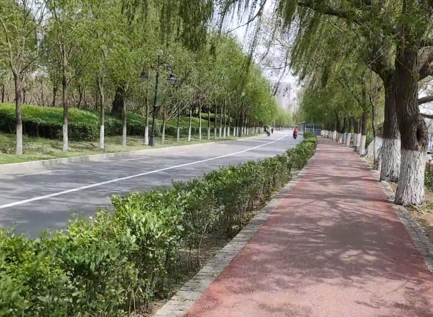 沈阳罗士圈生态公园游玩攻略2