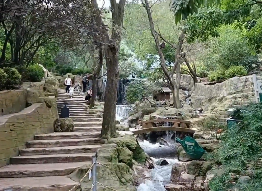 大连老虎滩鸟语林游玩攻略2