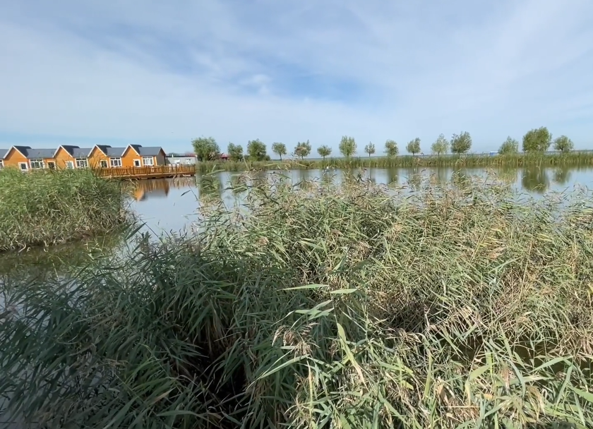 沈阳卧龙湖风景区游玩攻略2