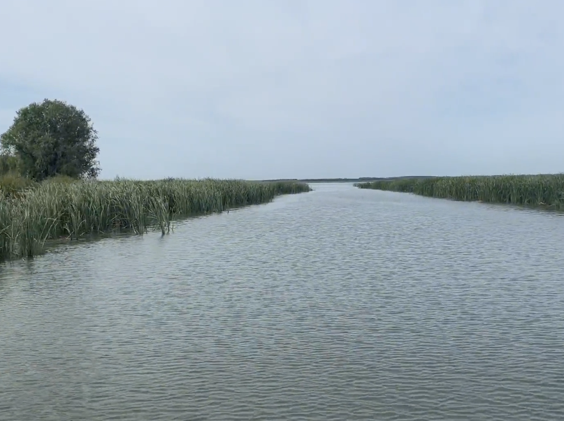 沈阳卧龙湖风景区游玩攻略3