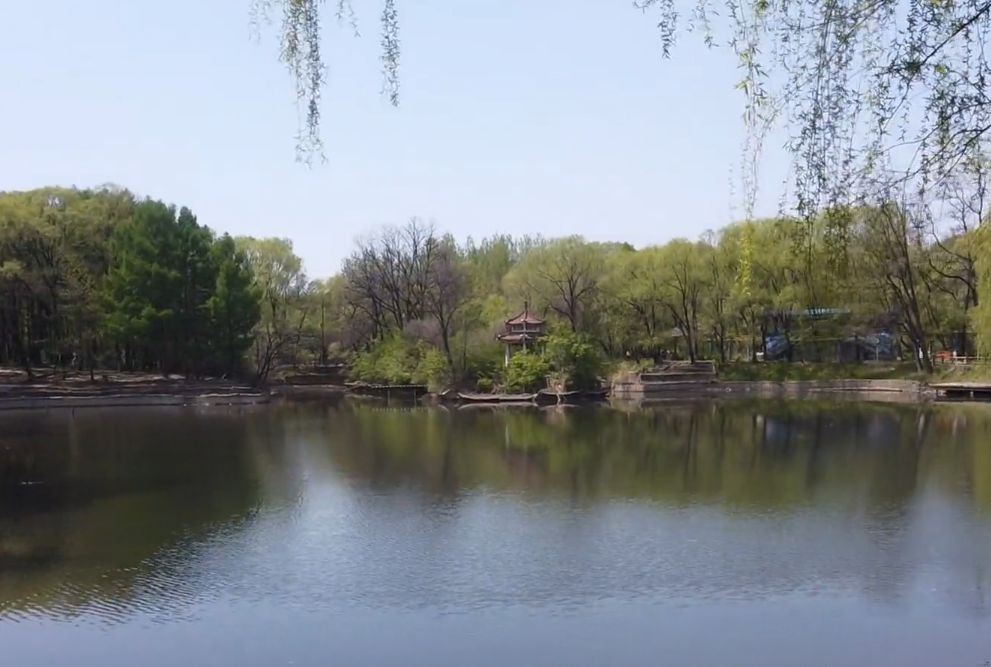 沈阳沈阳植物园游玩攻略2