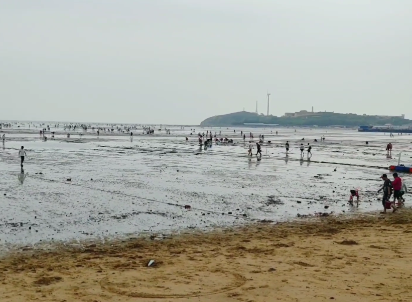 营口仙人岛风景区游玩攻略3