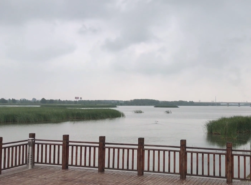 锦州大凌河国家湿地公园游玩攻略2