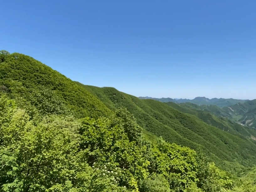 大连步云山村游玩攻略2