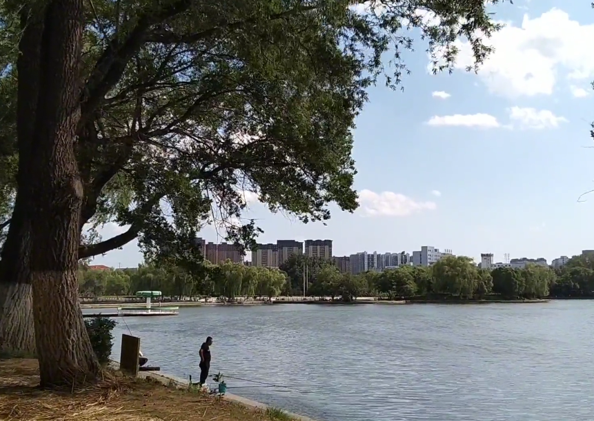 沈阳万柳塘公园游玩攻略2