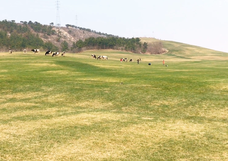 大连三寰牧场游玩攻略2