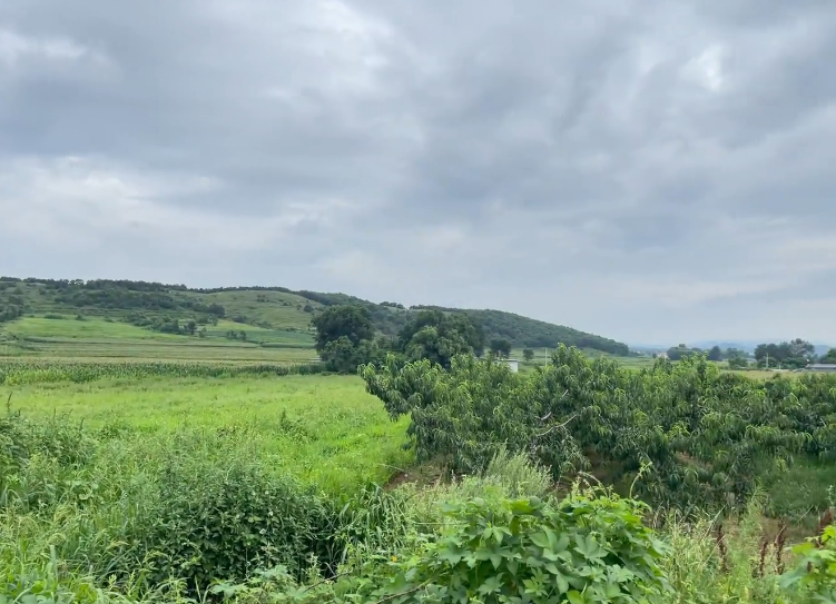 大连魔法狮见学农乐园游玩攻略1