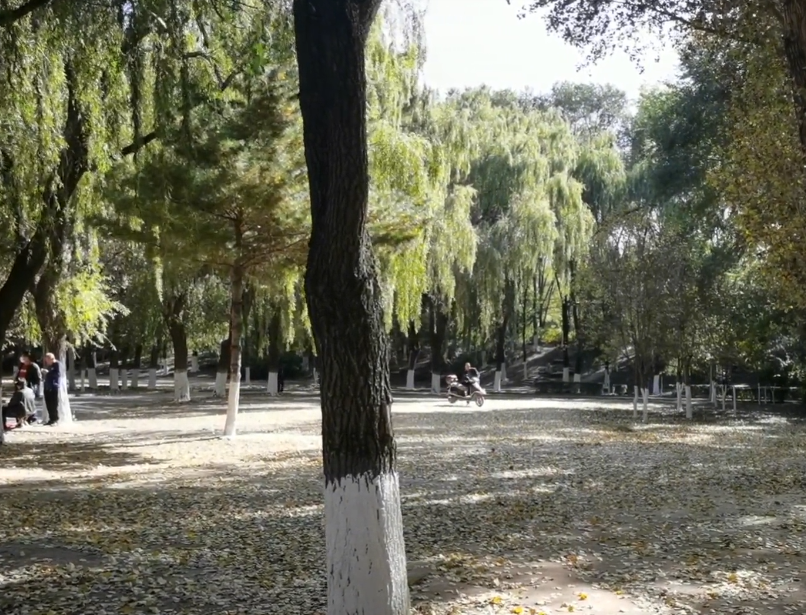 沈阳虎石台公园游玩攻略2