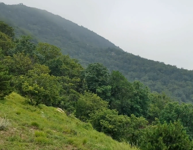 沈阳巴尔虎山风景区游玩攻略2