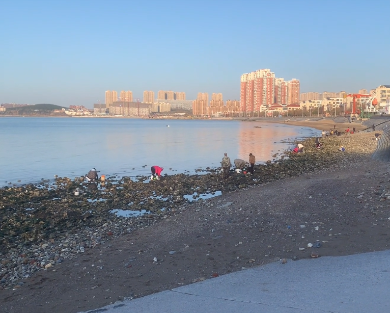 大连世界和平公园游玩攻略2