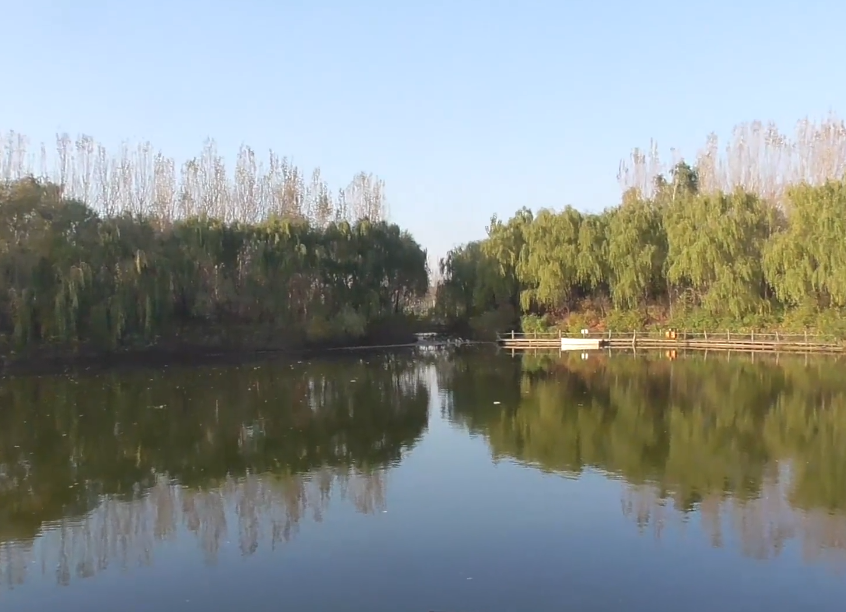 沈阳沈阳鸟岛游玩攻略1