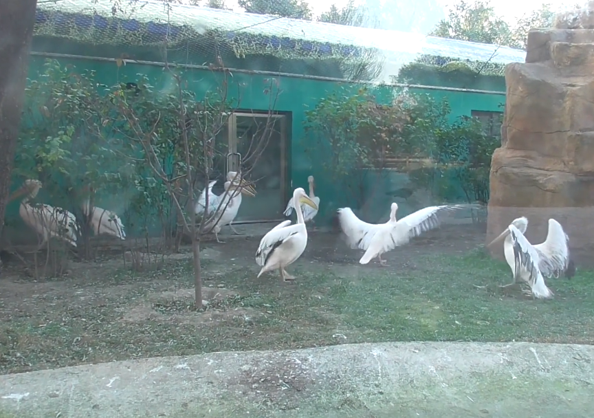 沈阳沈阳鸟岛游玩攻略2