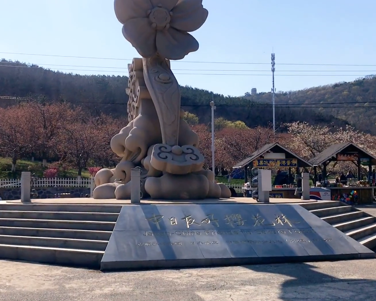 大连二零三樱花园游玩攻略1