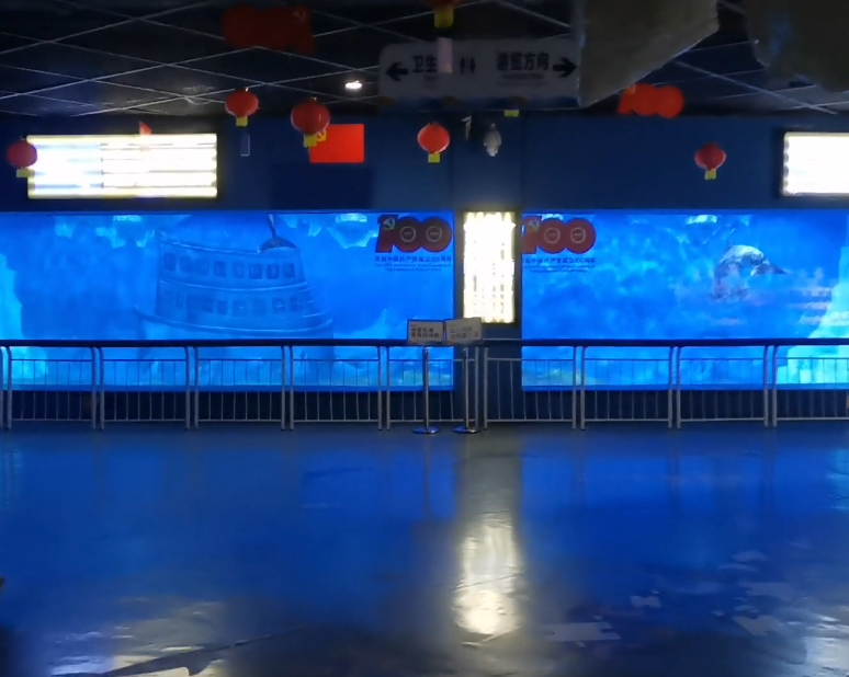 大连老虎滩极地馆游玩攻略2