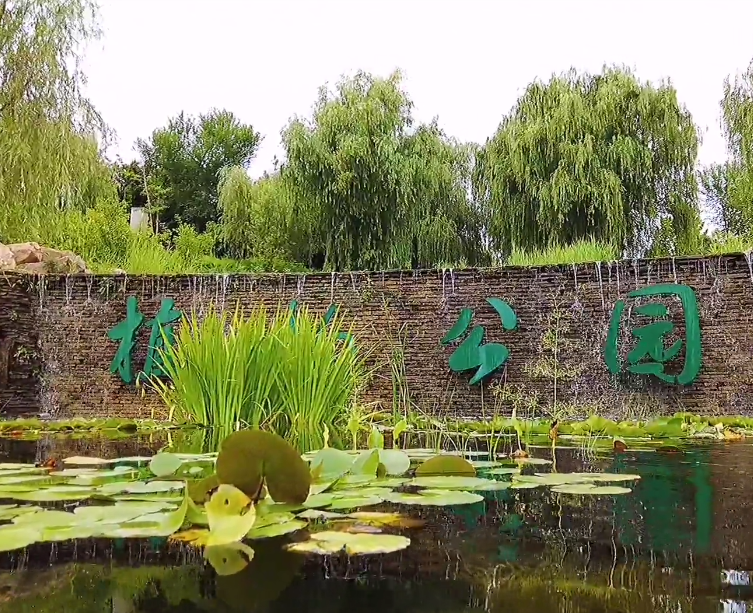 大连董家沟植物园游玩攻略1
