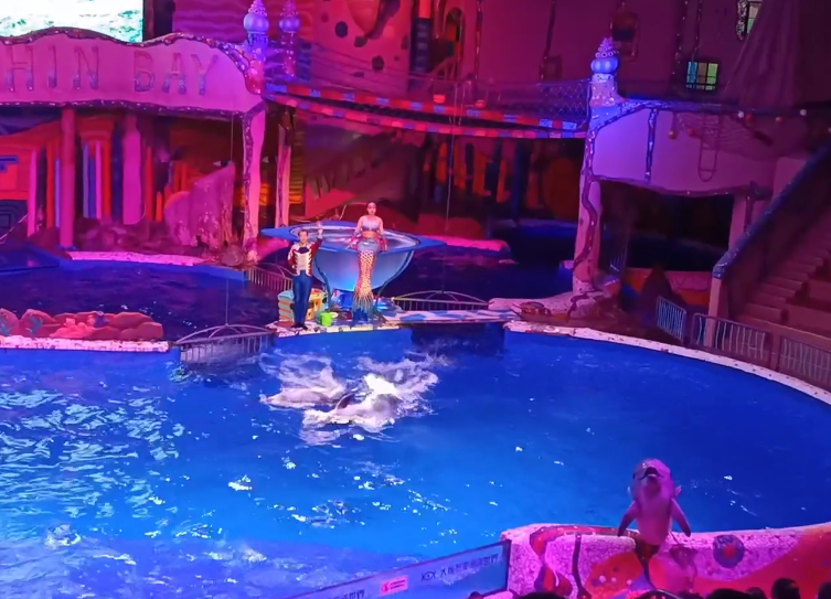 大连圣亚海洋世界游玩攻略1