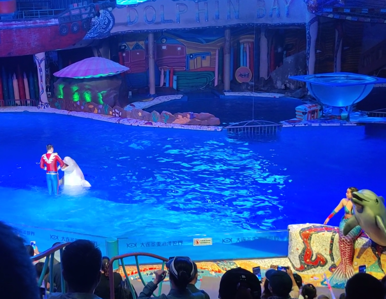 大连圣亚海洋世界游玩攻略2