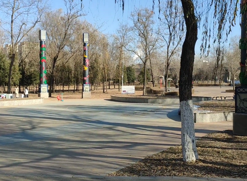 沈阳铁西森林公园游玩攻略1