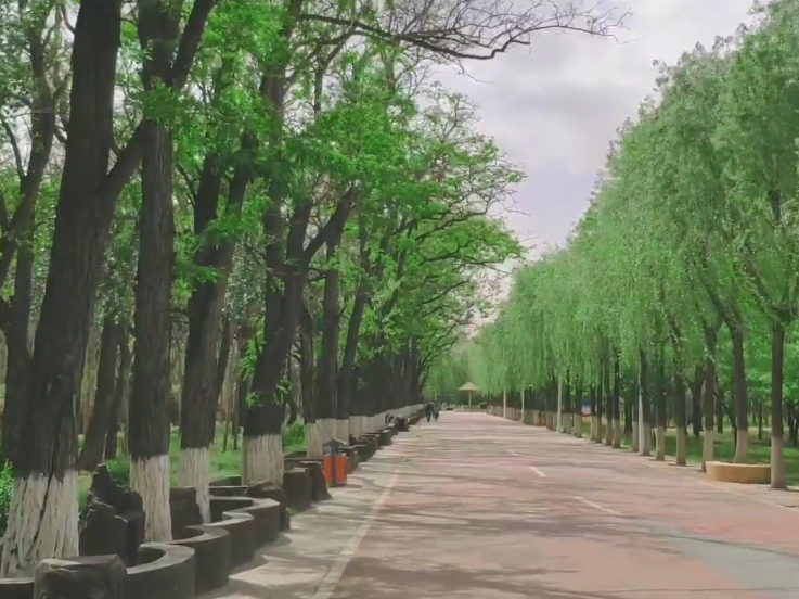 沈阳铁西森林公园游玩攻略2