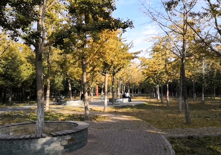 沈阳铁西森林公园游玩攻略3