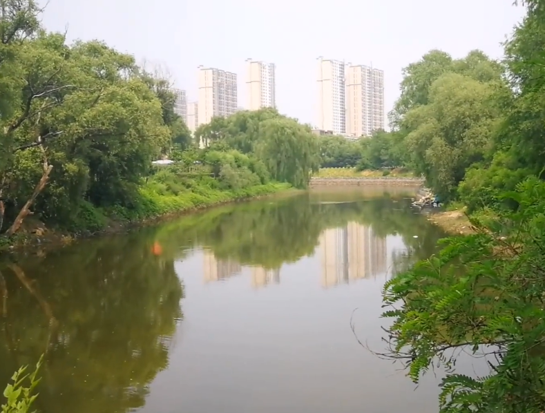 沈阳蒲河生态廊道游玩攻略3